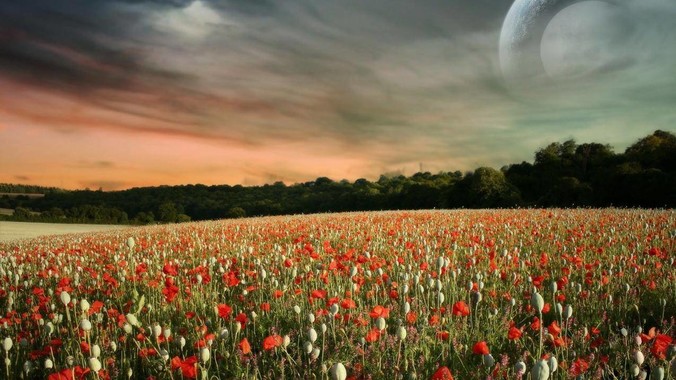 消息称三大运营商将于今年下半年全面重启eSIM，eSIM有哪些好处？为何此前暂停这一业务？